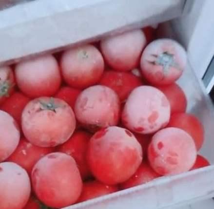 西红柿放冰箱会变成“毒水果”？告诉你什么食物能放、不能放